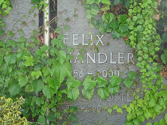 Friedhof Burgau (mit Burgauberg)