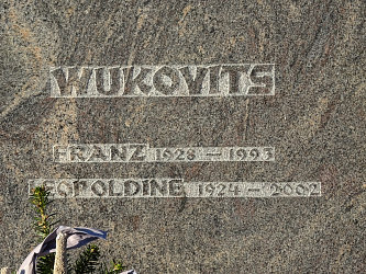 Friedhof Gerersdorf bei G�ssing