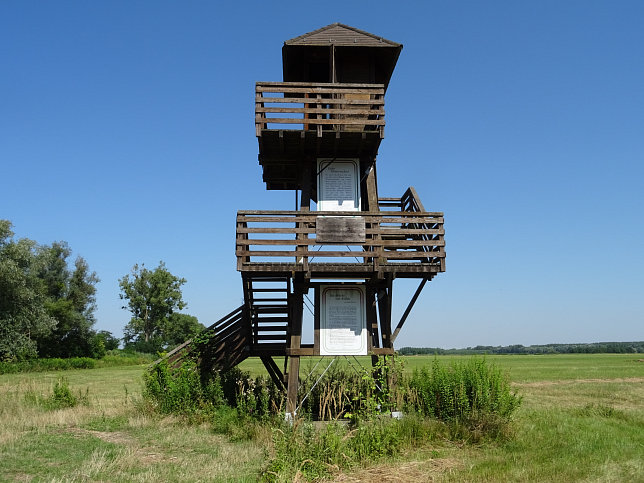 Andau, Aussichtsturm