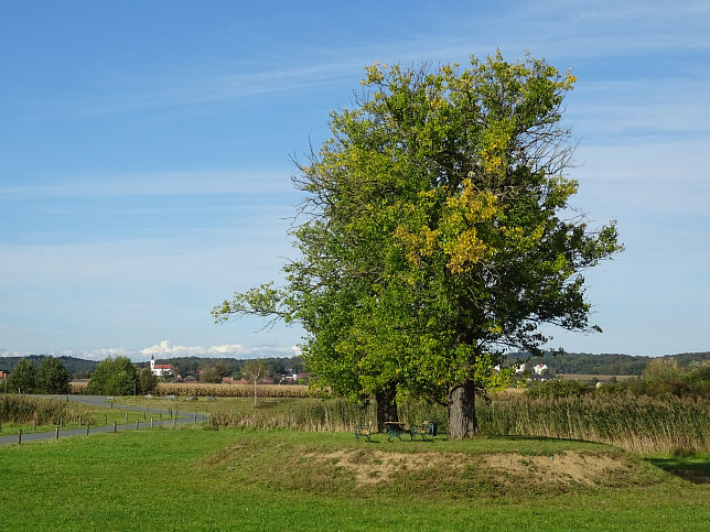 Heiligenkreuz im Lafnitztal, Bauminsel