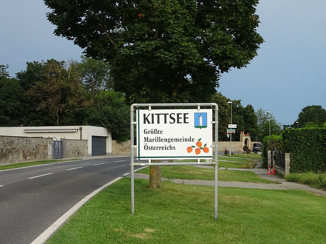 Kittsee, Marillengemeinde