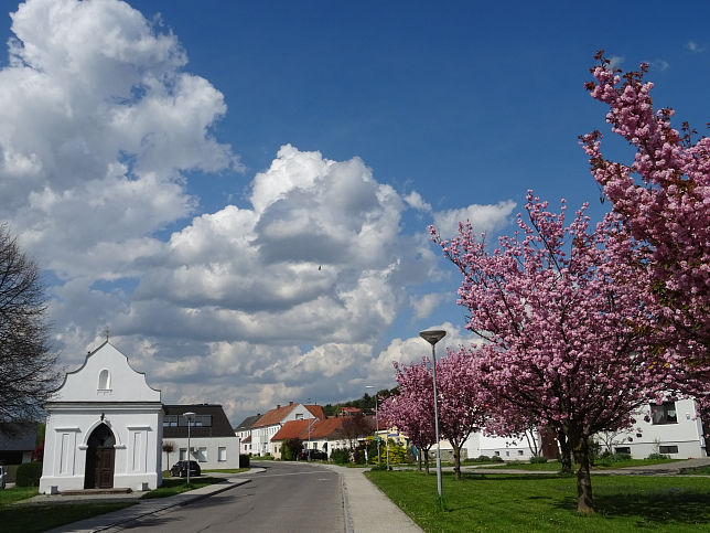 Litzelsdorf, Patriciuskapelle