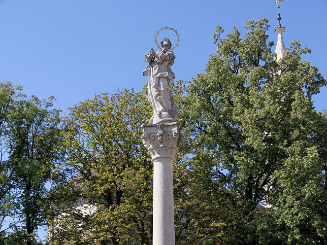 Markt Sankt Martin, Immaculatasule