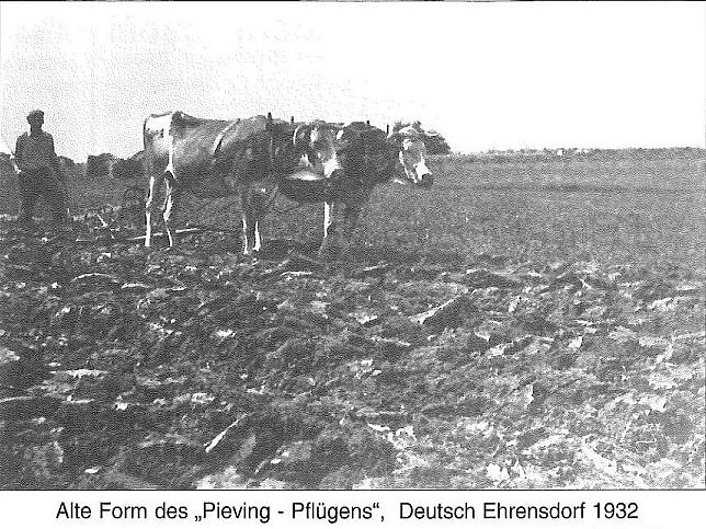 Deutsch Ehrensdorf, Pflgen