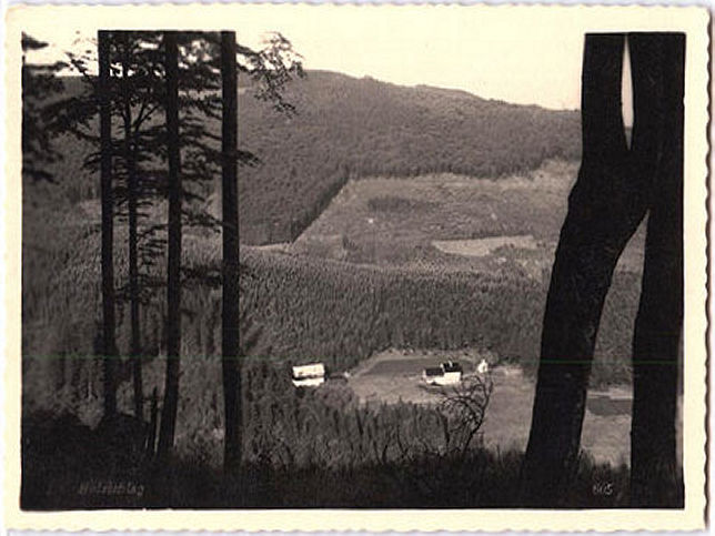 Holzschlag, Ortsansicht