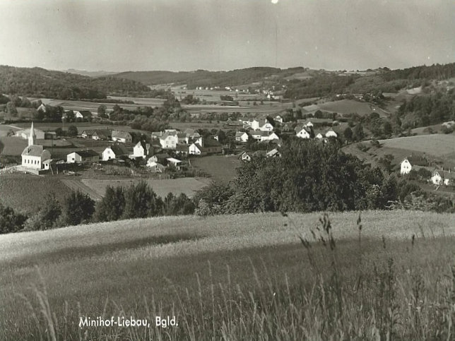 Minihof Liebau, Panorama