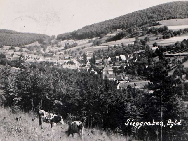 Sieggraben, Panorama