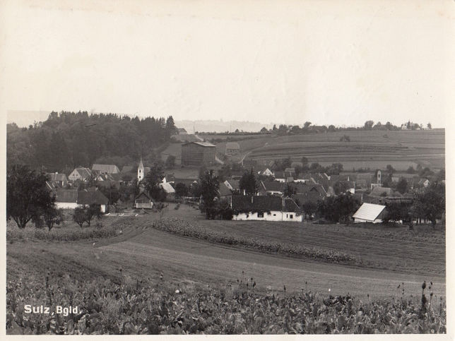 Sulz, Panorama