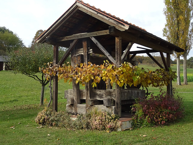 Dt. Ehrensdorf - 4 W Runde (Wald Wiese Wein Walking)