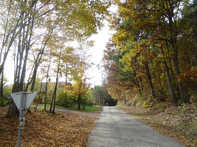 Dt. Ehrensdorf - 4 W Runde (Wald Wiese Wein Walking)