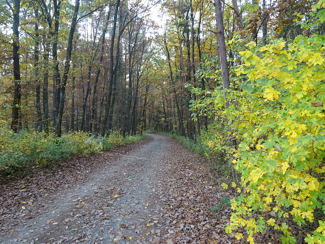 Dt. Ehrensdorf - 4 W Runde (Wald Wiese Wein Walking)