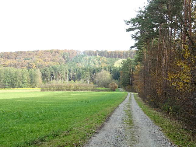 Dt. Ehrensdorf - 4 W Runde (Wald Wiese Wein Walking)