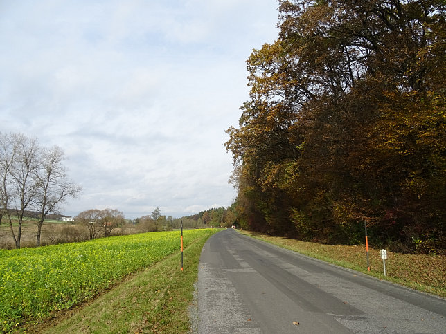 Dt. Ehrensdorf - 4 W Runde (Wald Wiese Wein Walking)