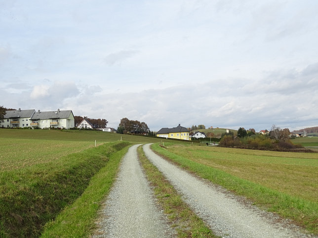 Dt. Ehrensdorf - 4 W Runde (Wald Wiese Wein Walking)