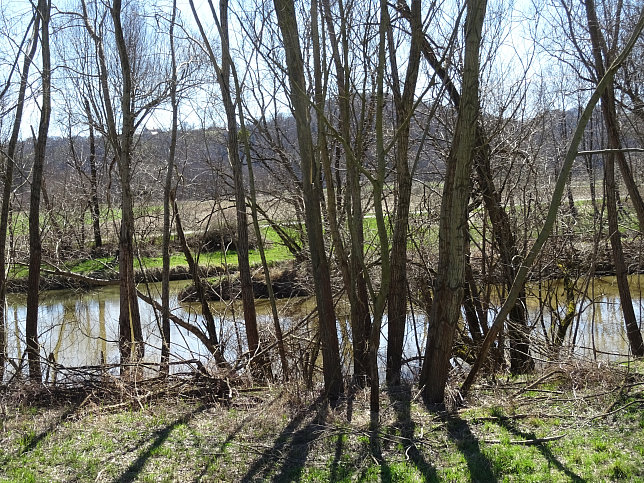 Rundwanderung Eltendorf - Knigsdorf