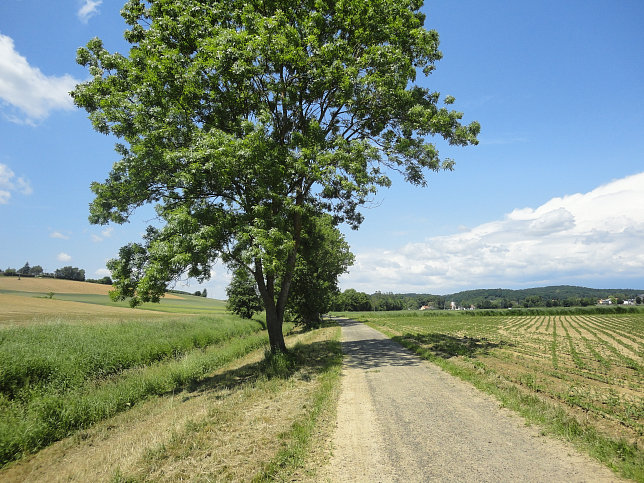 Gssing - Wasserweg