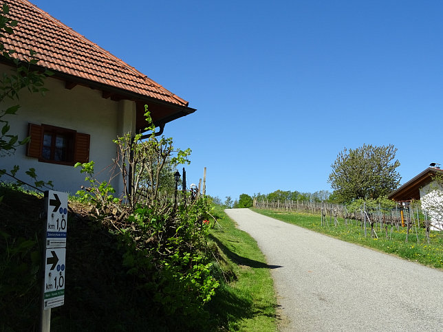 Heiligenbrunn - Wald-Runde