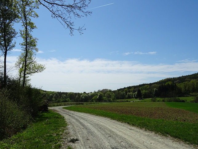 Heiligenbrunn - Wald-Runde