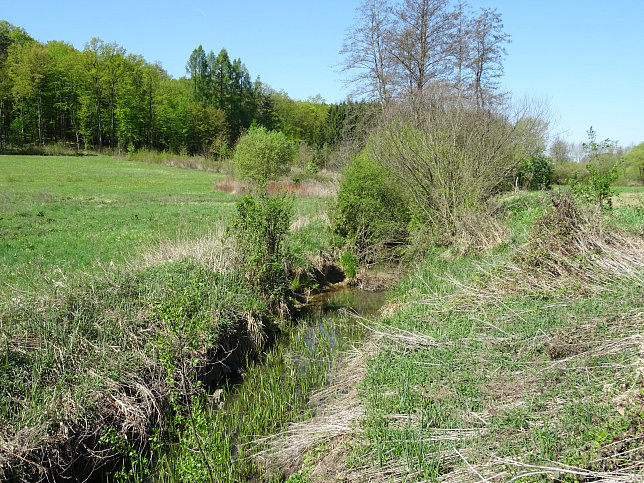 Heiligenbrunn - Wald-Runde