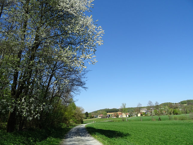 Heiligenbrunn - Wald-Runde