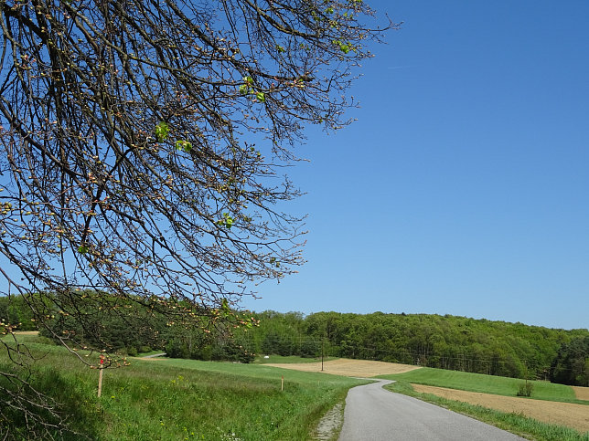 Heiligenbrunn - Wald-Runde