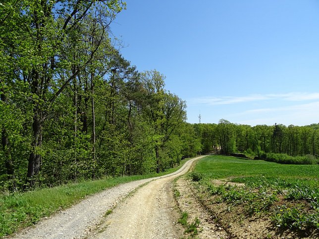 Heiligenbrunn - Wald-Runde