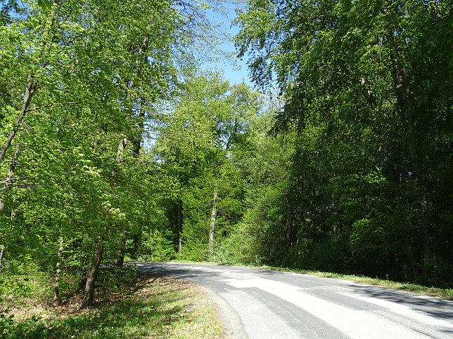 Heiligenbrunn - Wald-Runde