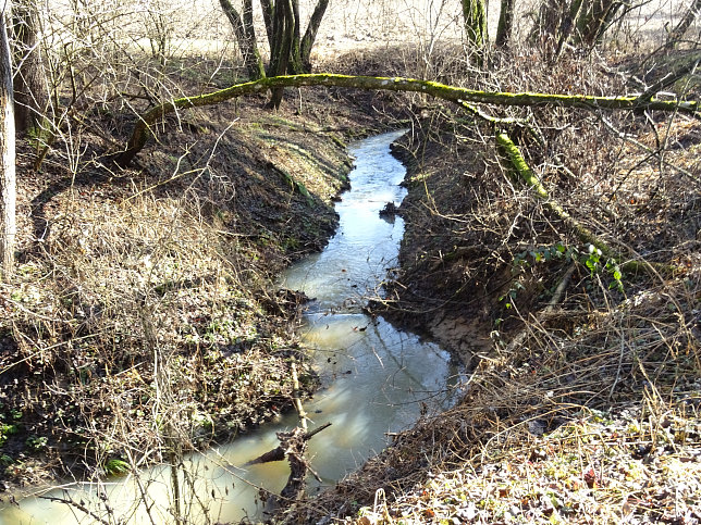 Limbach - Greuternrunde