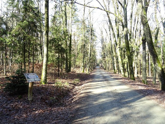 Limbach - Greuternrunde