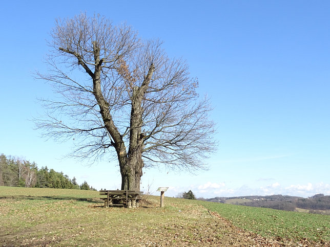 Limbach - Greuternrunde