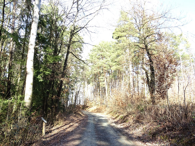 Limbach - Greuternrunde