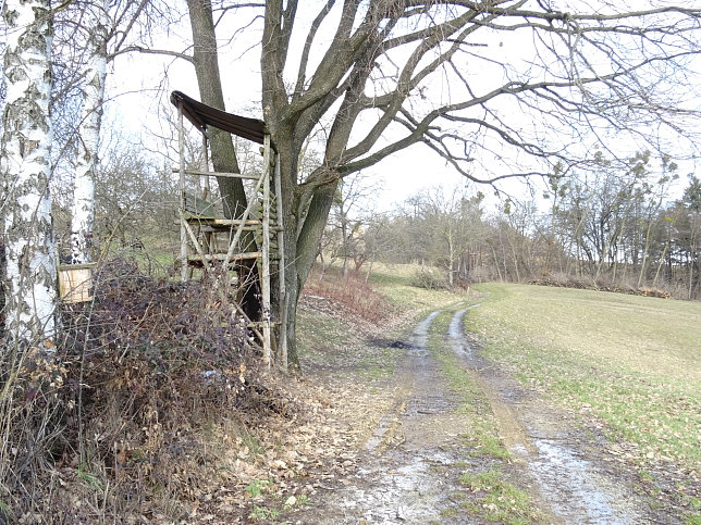 Limbach - Greuternrunde