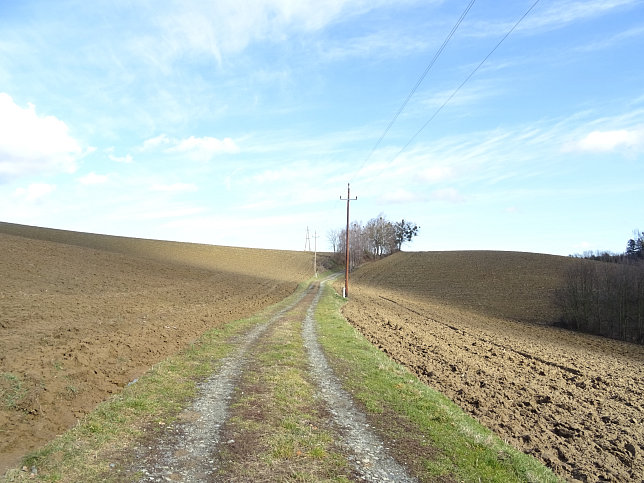 Limbach - Greuternrunde