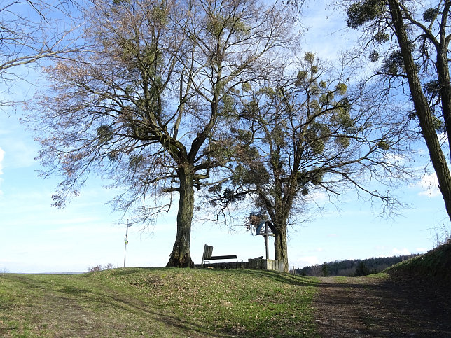 Limbach - Greuternrunde