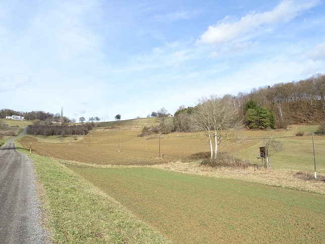 Limbach - Greuternrunde