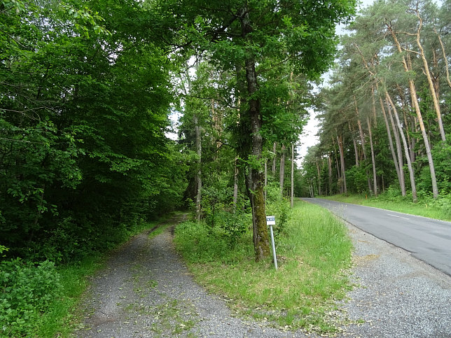 Mariasdorf - Rundwanderweg W71