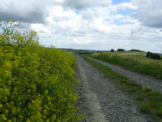 Mariasdorf - Rundwanderweg W71