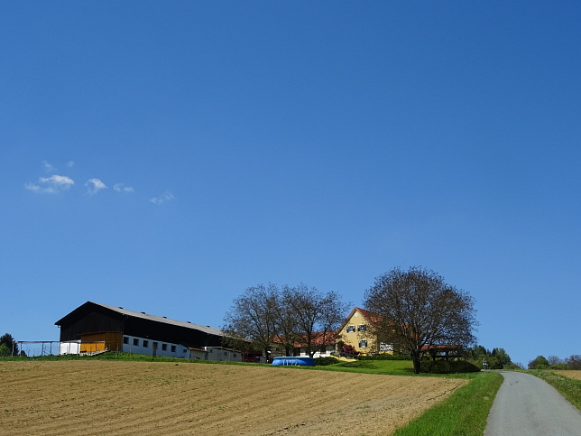 Neudauberg-Burgauberg - Golf | Geschichte | Weg
