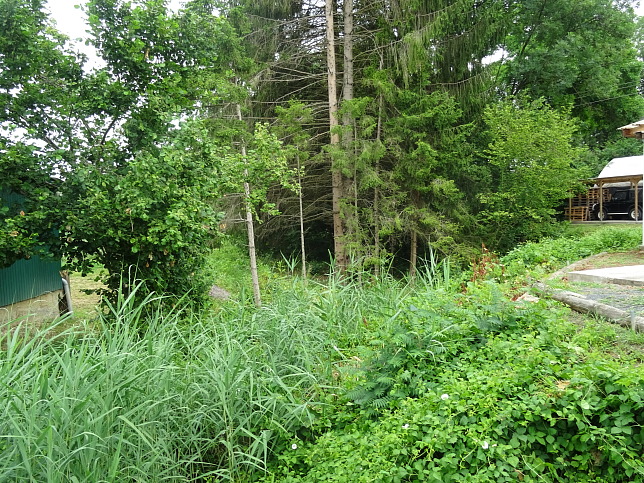 Neumarkt an der Raab - Hexenweg