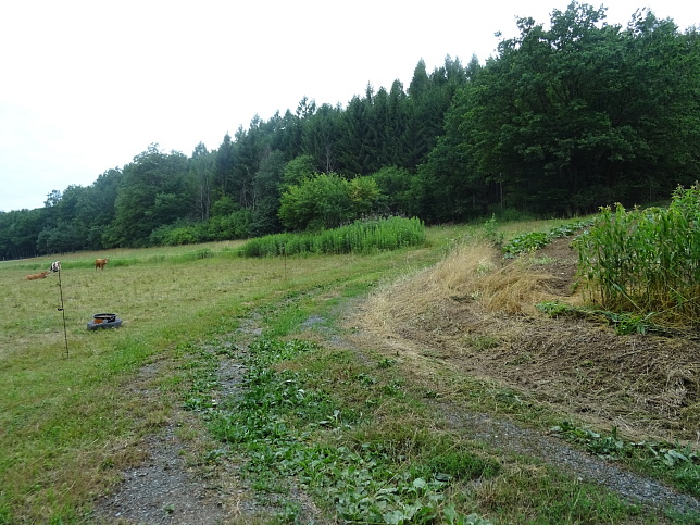 Neumarkt an der Raab - Hexenweg