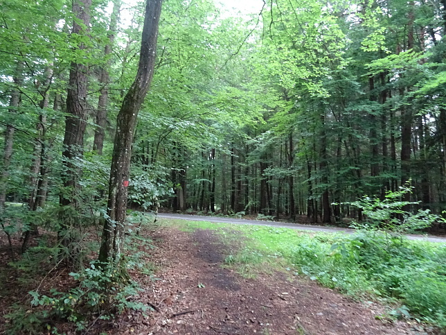 Neumarkt an der Raab - Hexenweg