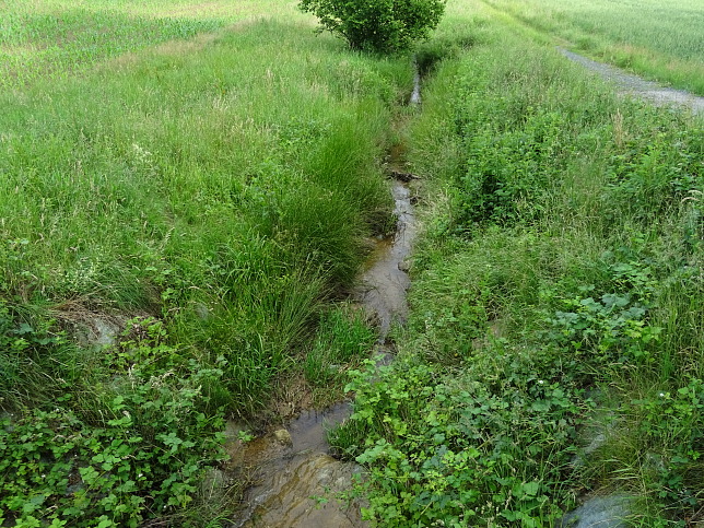 Oberschtzen - Panoramaweg W54
