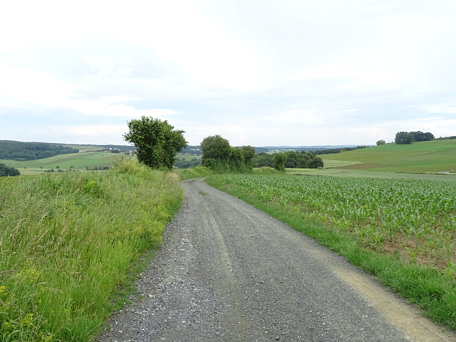 Oberschtzen - Panoramaweg W54