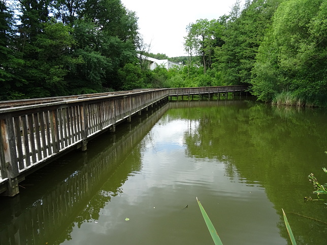 Gerichtsbergweg W65