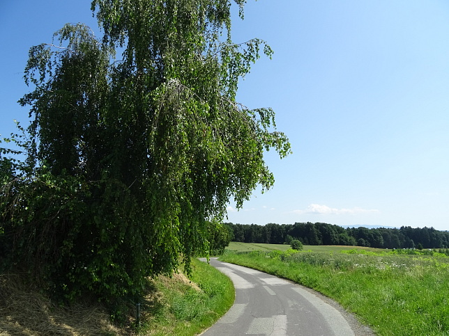 Wrterberg - Rundweg