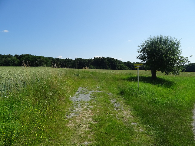 Wrterberg - Rundweg