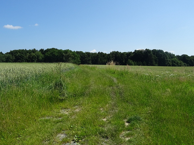 Wrterberg - Rundweg