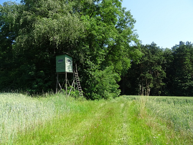 Wrterberg - Rundweg