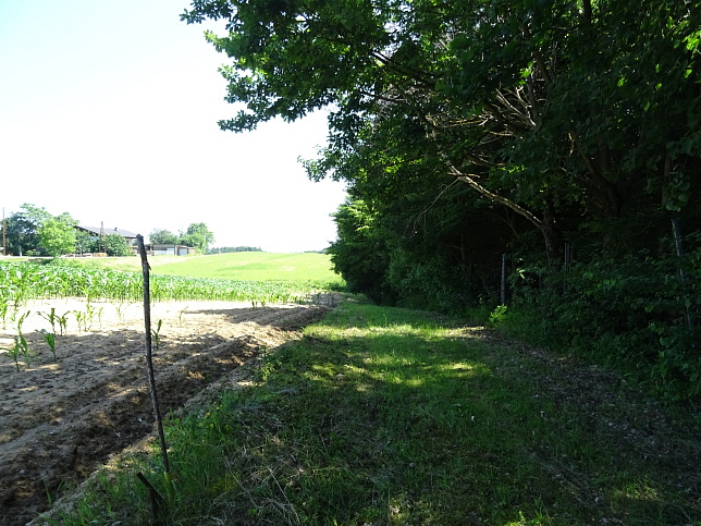 Wrterberg - Rundweg