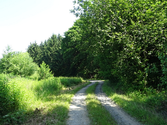 Wrterberg - Rundweg